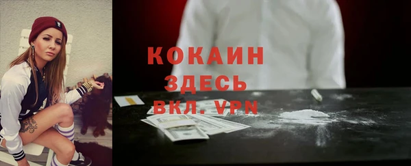 соль ск Алексин