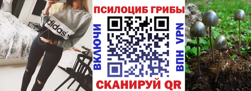 Псилоцибиновые грибы прущие грибы наркота Долинск